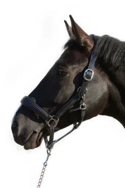 Ultrasoft® Deluxe lærgrime Grimer