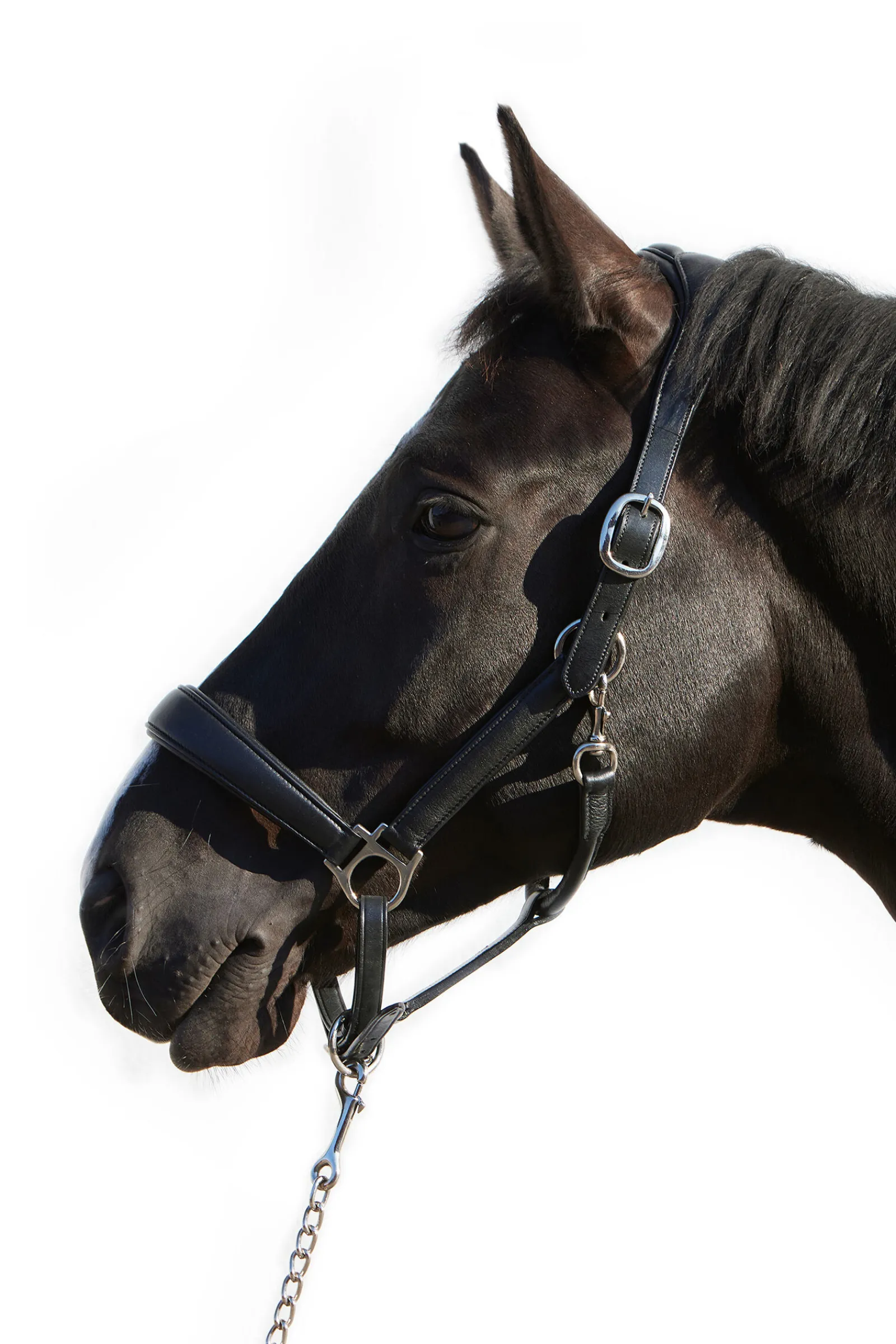 Ultrasoft® Deluxe lærgrime Grimer