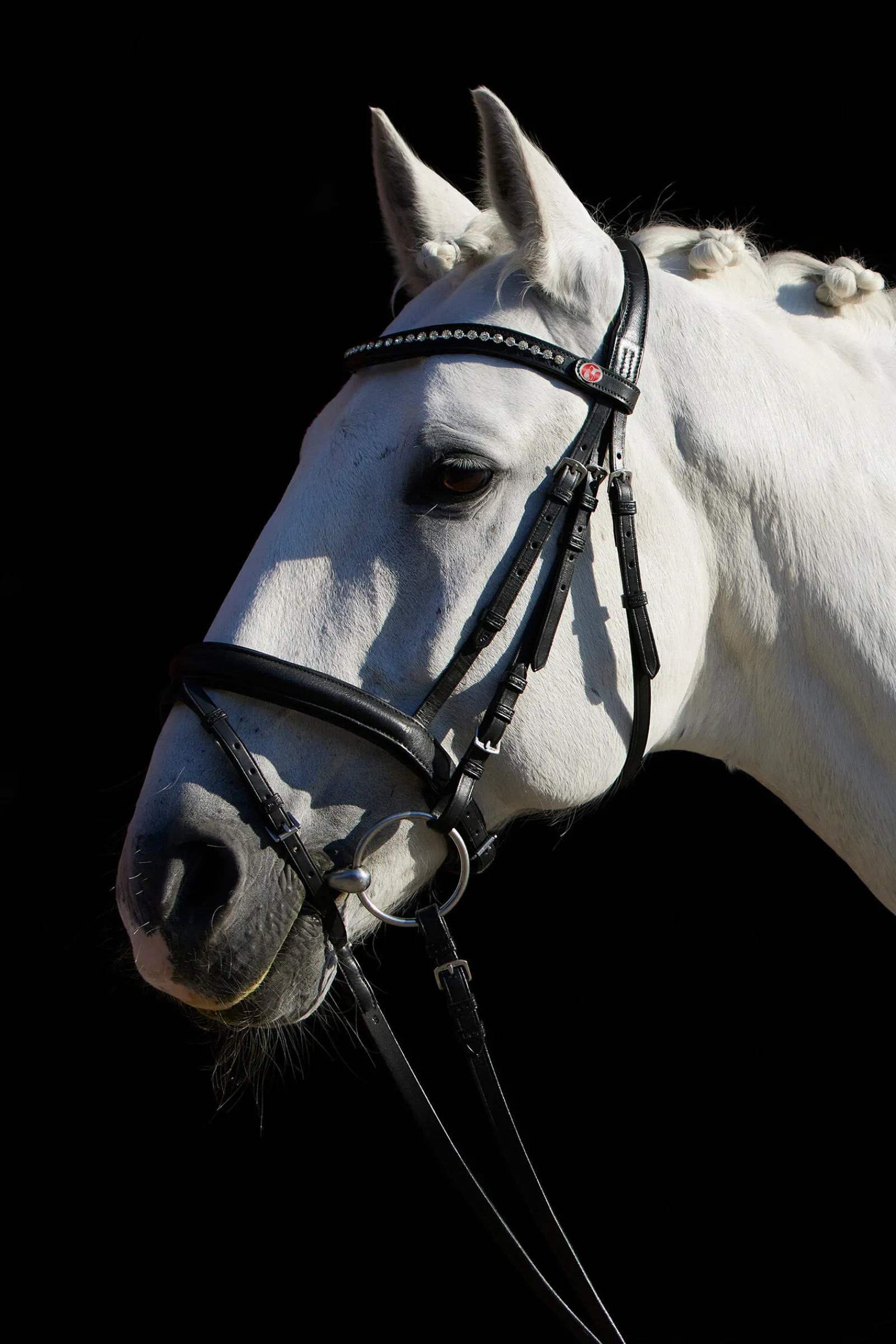 Clearance Ultrasoft® FlexiStyle hodelag Ponni Hodelag Og Grimer|Hodelag & Nesereimer