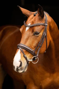 Best Arika dressurhodelag Ponni Hodelag Og Grimer|Hodelag & Nesereimer