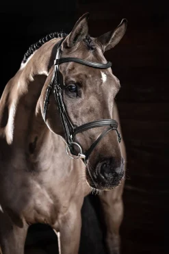 Outlet Arika Flash hodelag Ponni Hodelag Og Grimer|Hodelag & Nesereimer