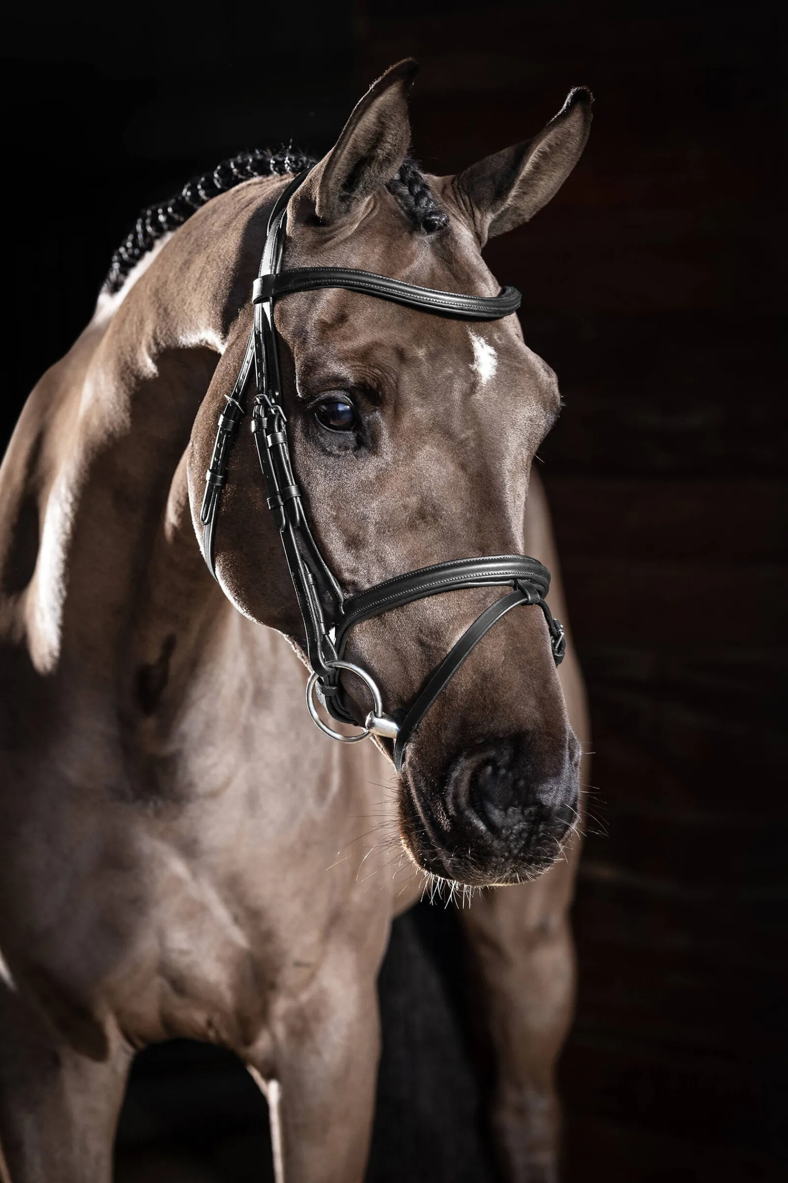 Outlet Arika Flash hodelag Ponni Hodelag Og Grimer|Hodelag & Nesereimer