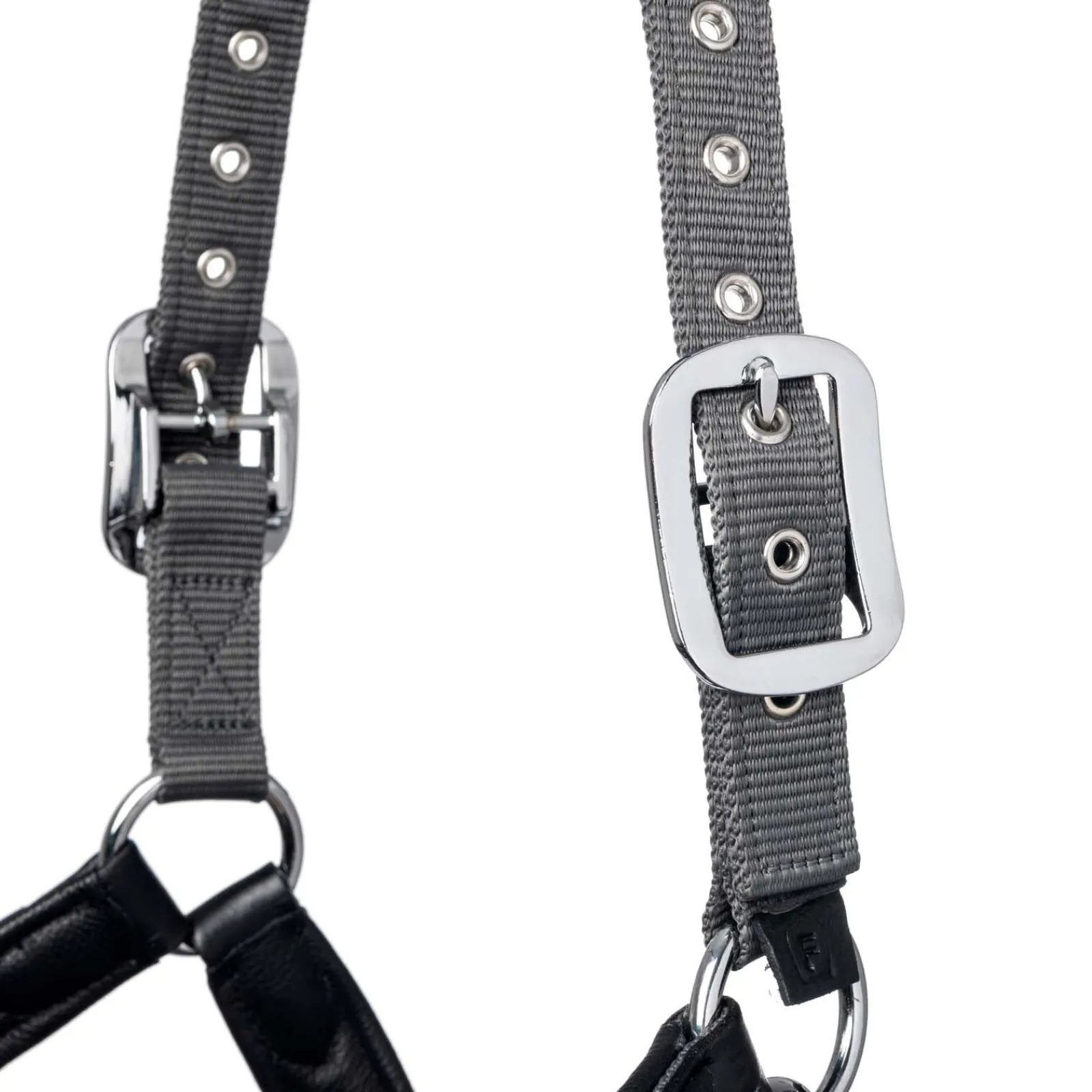 Capella grime Grimer