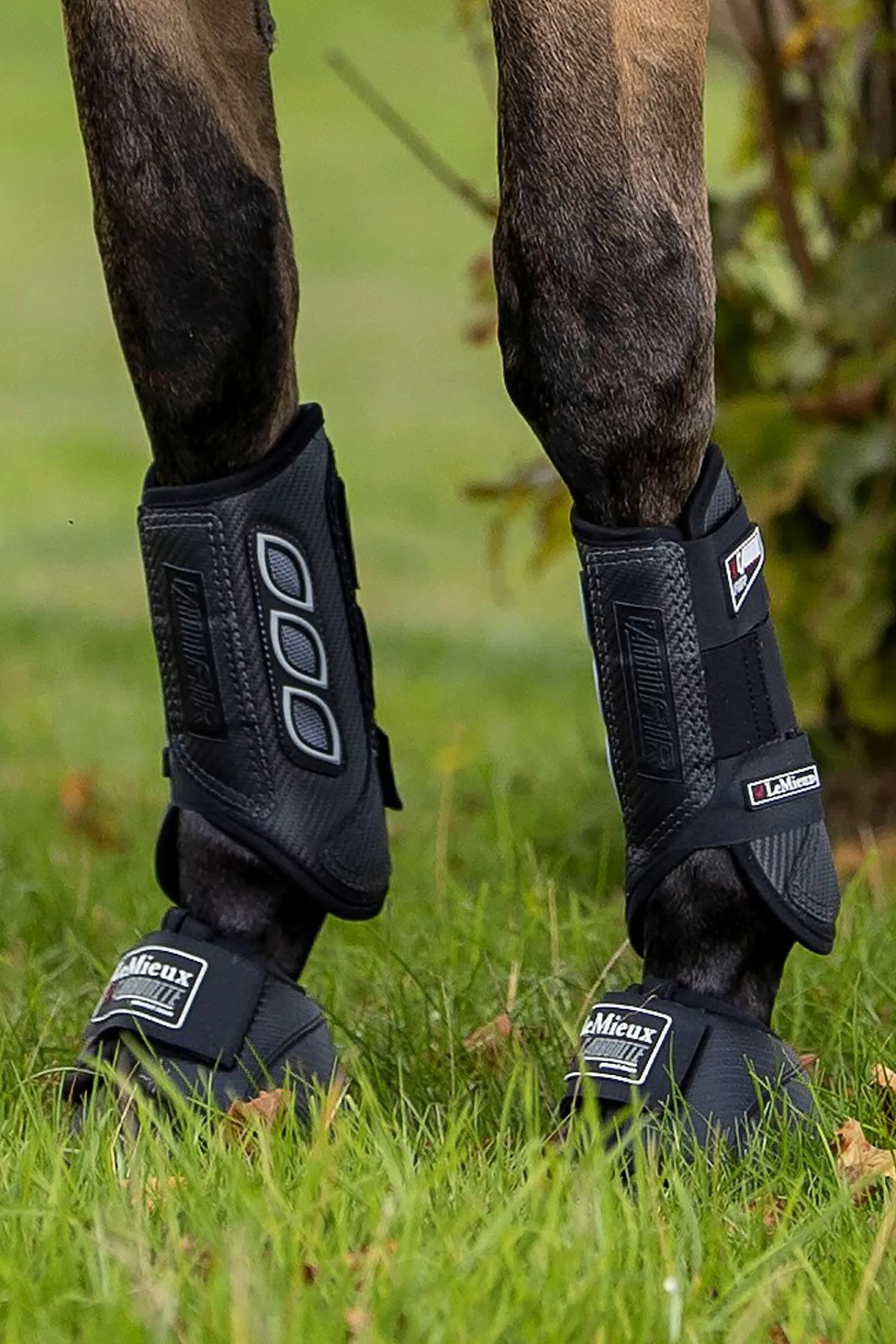 Hot Carbon Air XC belegg, frambein Belegg Til Hest