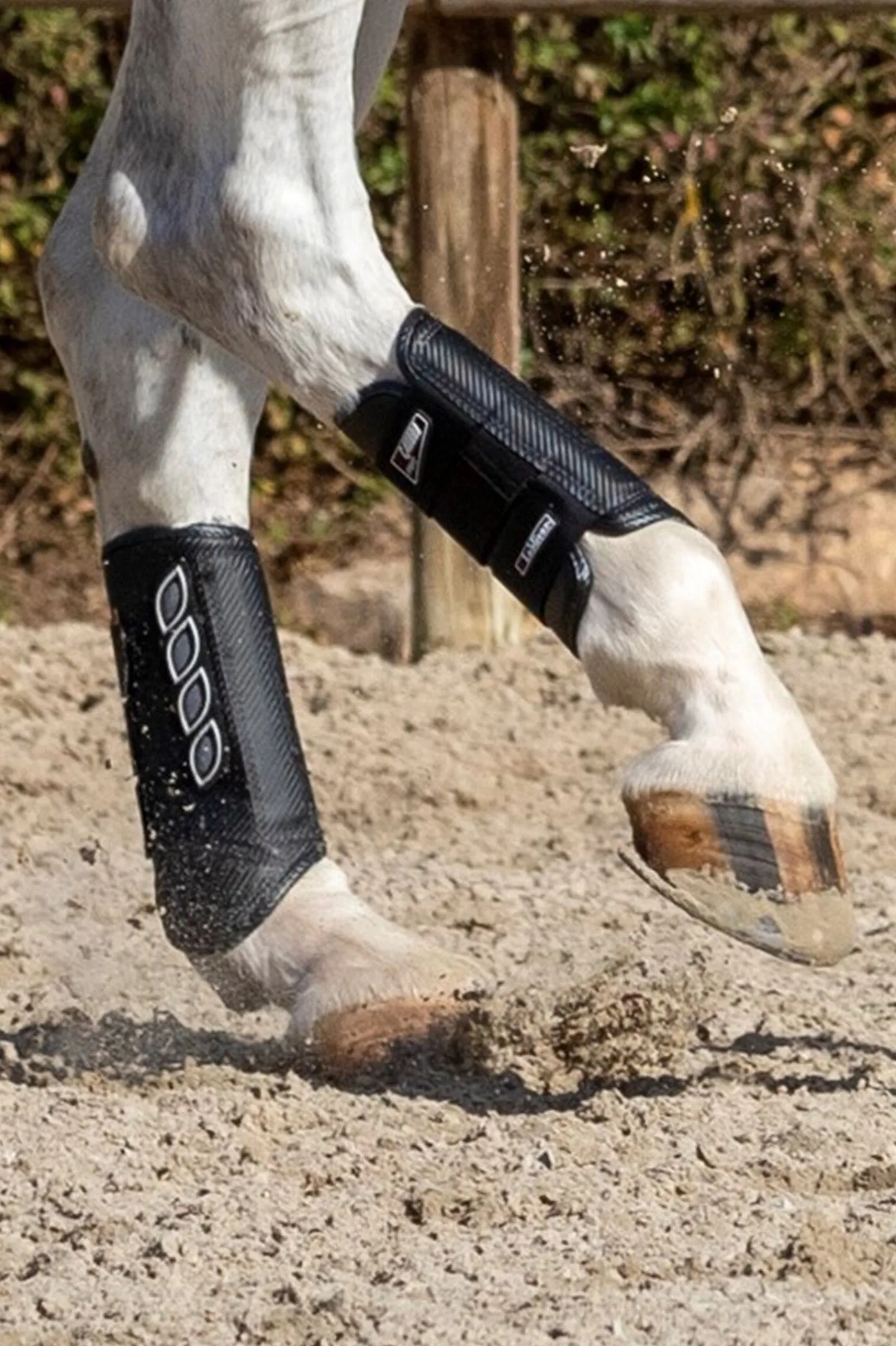 Discount Carbon Air XC belegg, bakbein Belegg Til Hest