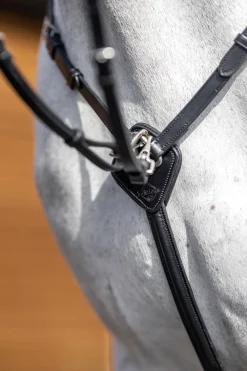 Online Fortøy med avtakbar Martingal Fortøy