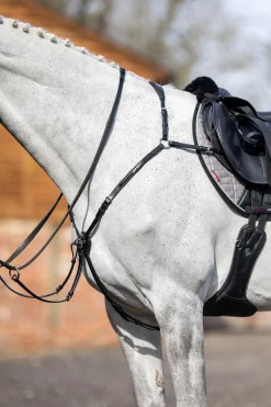 Online Fortøy med avtakbar Martingal Fortøy