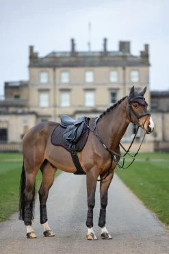 Discount Grafter stryksokker Belegg Til Hest