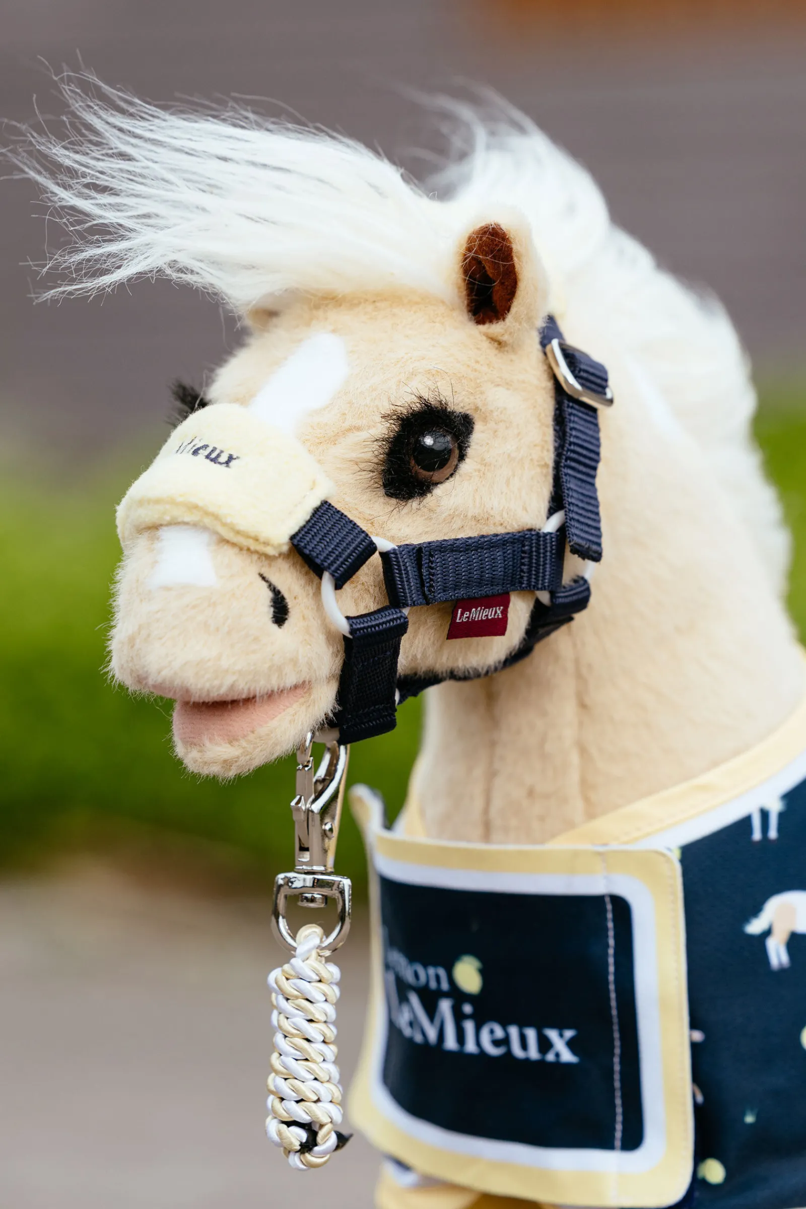 Hot grime & leietau set for lekepone Hesteleker