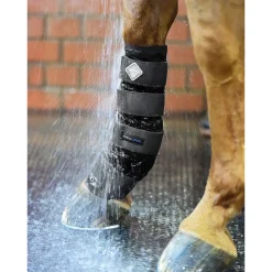 Online kaldtvannsbelegg Belegg Til Hest