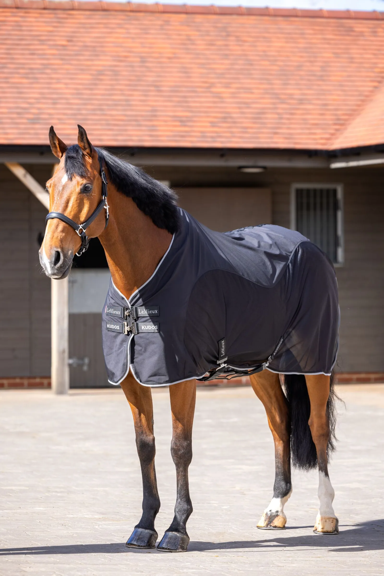 Clearance Kudos Hybrid Cooler Ulldekken Og Svettedekken