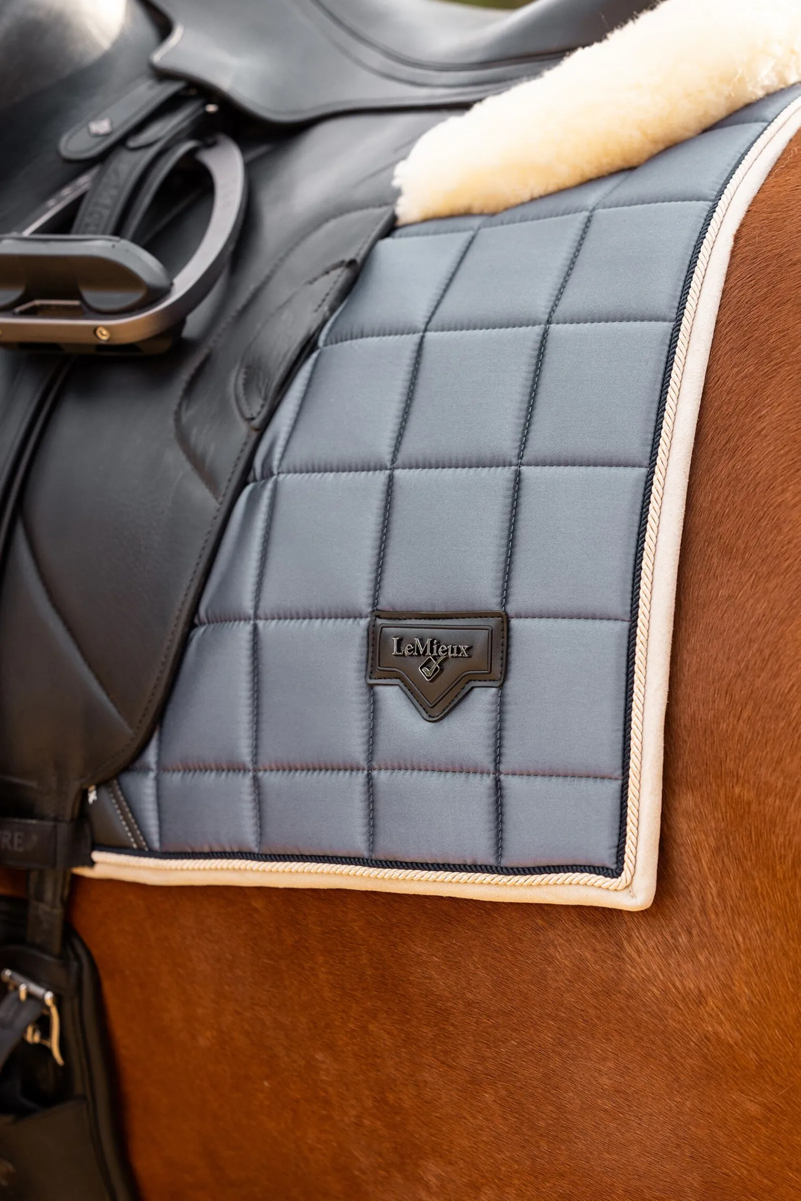 Sale Loire Classic dressursjabrak Ponni Sjabrak|Dressursjabraker