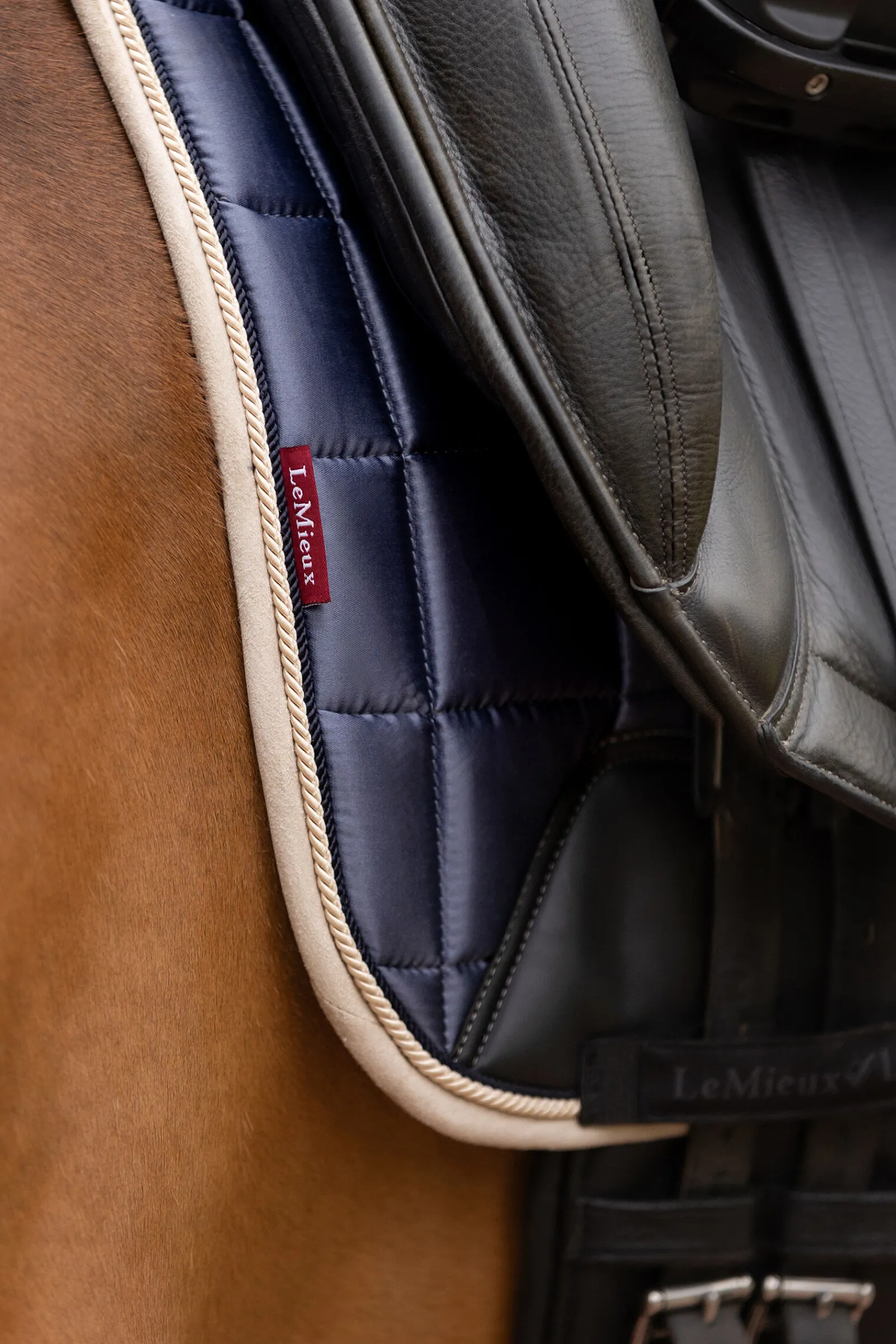 Sale Loire Classic dressursjabrak Ponni Sjabrak|Dressursjabraker