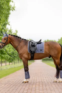 Sale Loire Classic dressursjabrak Ponni Sjabrak|Dressursjabraker