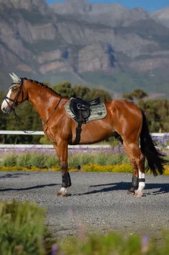 Outlet Loire Square CC Sprangsjabrak Ponni Sjabrak|Allround- Og Sprangsjabraker