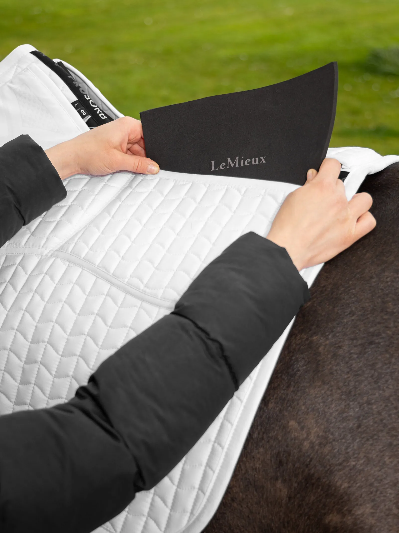 Clearance Prosorb Plain 2 Pocket Close Contact Pad Ponni Sjabrak|Allround- Og Sprangsjabraker