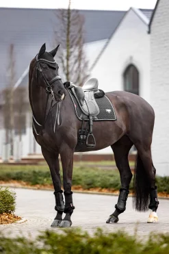 Hot Puissance Suede dressursjabrak Dressursjabraker