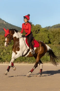 Online Seasonal Luxury CC Sprangsjabrak Ponni Sjabrak|Allround- Og Sprangsjabraker