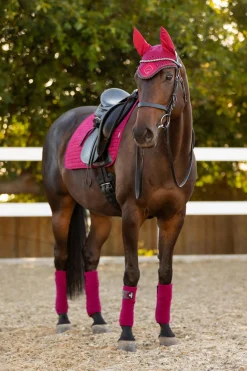 Clearance Seasonal Luxury dressursjabrak, firkanter Dressursjabraker