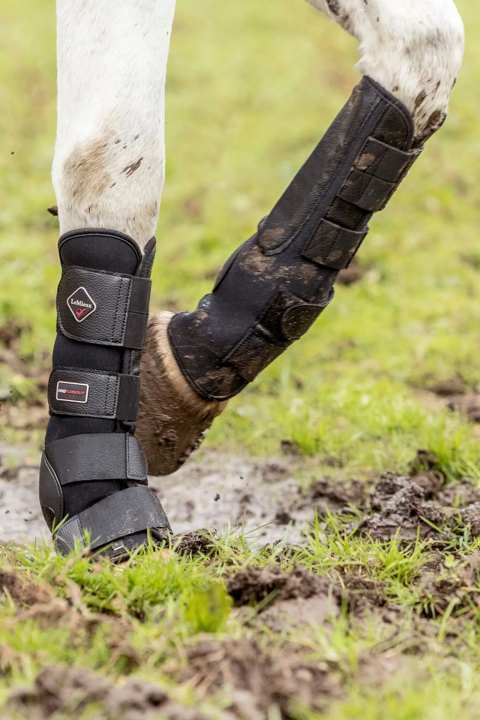 utebelegg Belegg Til Hest