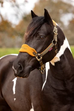 Outlet Vogue grime & leietau set Grimer