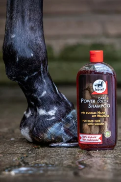 Clearance Power valnøtt-sjampo Stell Pels, Hud Og Man