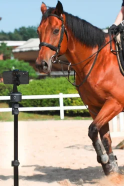 Best Pod Silver Essential Set Tilbehør Stallutstyr