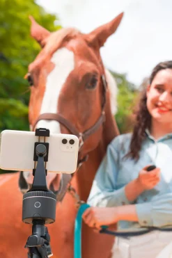 Best Pod Silver Essential Set Tilbehør Stallutstyr