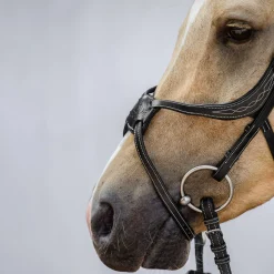 Online PS of Sweden Athens meksikansk hodelag Hodelag & Nesereimer