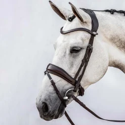 Hot PS of Sweden Flying Change hodelag Ponni Hodelag Og Grimer|Hodelag & Nesereimer