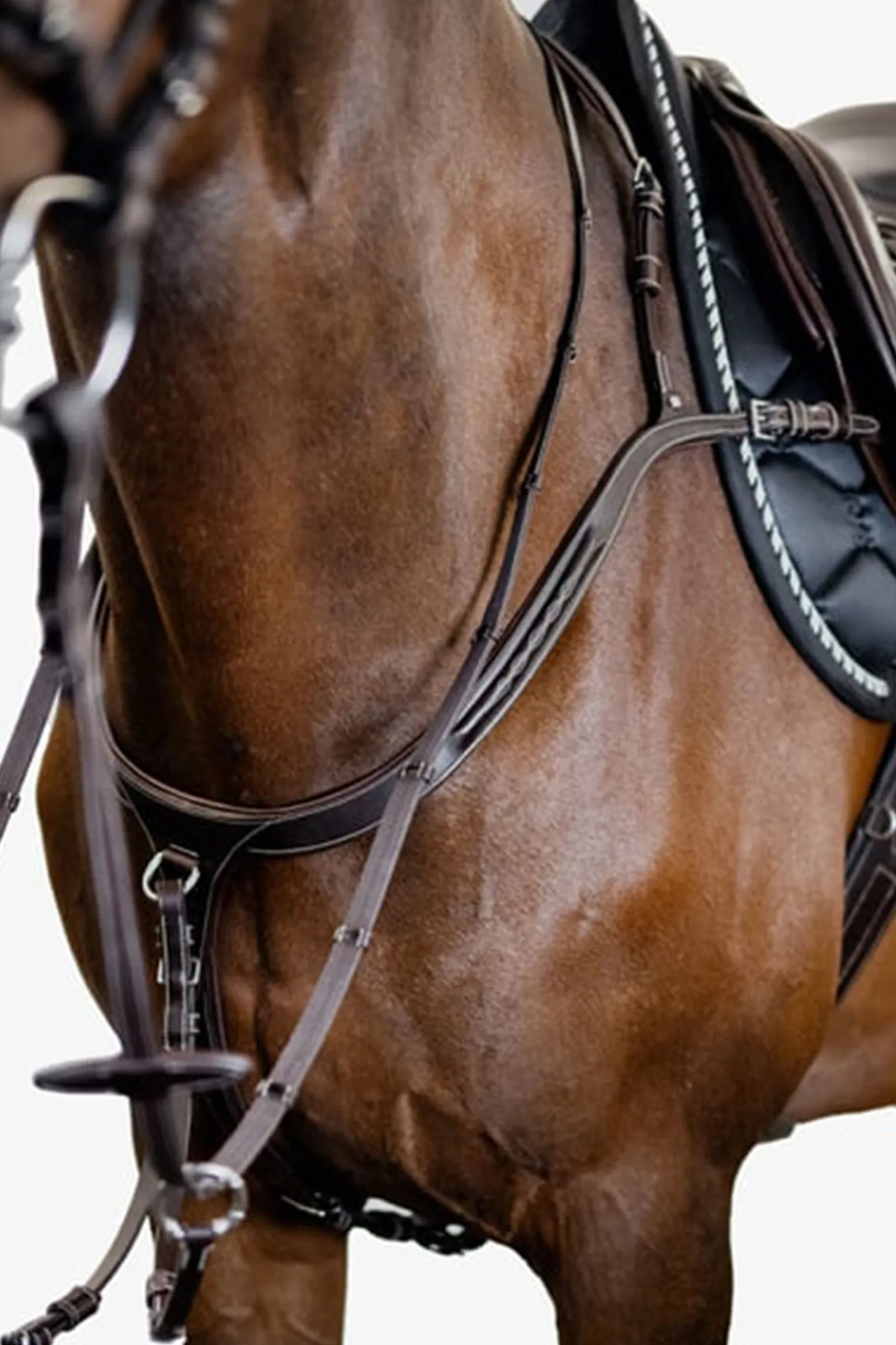 Sale PS of Sweden fortøy Tokyo Fortøy