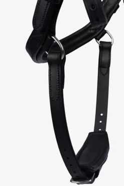 Sale PS of Sweden Hodelag King Edward Hodelag & Nesereimer