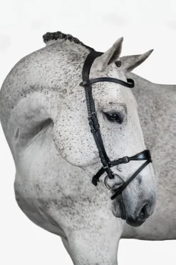 PS of Sweden Hodelag, Mary Lou av Henrik von Eckermann Hodelag & Nesereimer