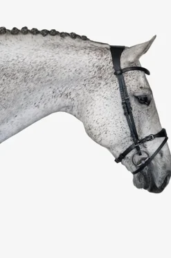 PS of Sweden Hodelag, Mary Lou av Henrik von Eckermann Hodelag & Nesereimer