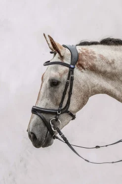 Hot PS of Sweden Jump Off hodelag Ponni Hodelag Og Grimer|Hodelag & Nesereimer