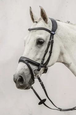 Hot PS of Sweden Jump Off hodelag Ponni Hodelag Og Grimer|Hodelag & Nesereimer