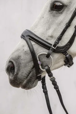 Hot PS of Sweden Jump Off hodelag Ponni Hodelag Og Grimer|Hodelag & Nesereimer