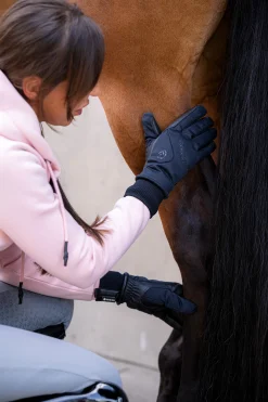 Online Wila GTX ridehansker for vinterbruk Vinterhansker Til Ridning