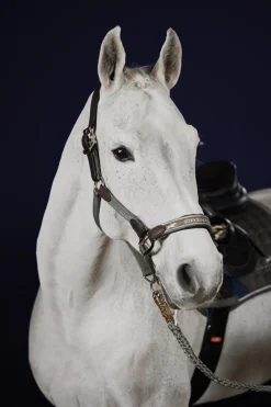 Clearance Schockemöhle Sports Acron Style Halter Grimer