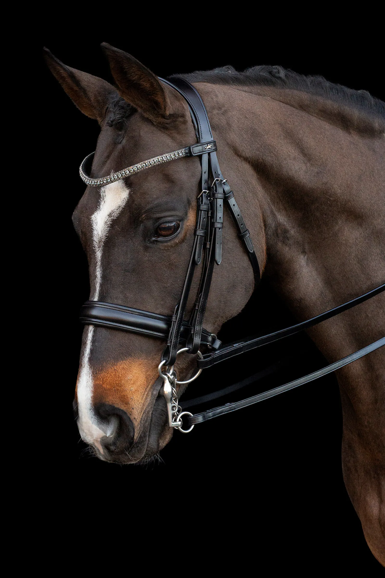 Clearance Schockemöhle Sports Brindisi Kandarhodelag Hodelag & Nesereimer