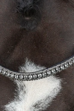 Clearance Schockemöhle Sports Brindisi Kandarhodelag Hodelag & Nesereimer