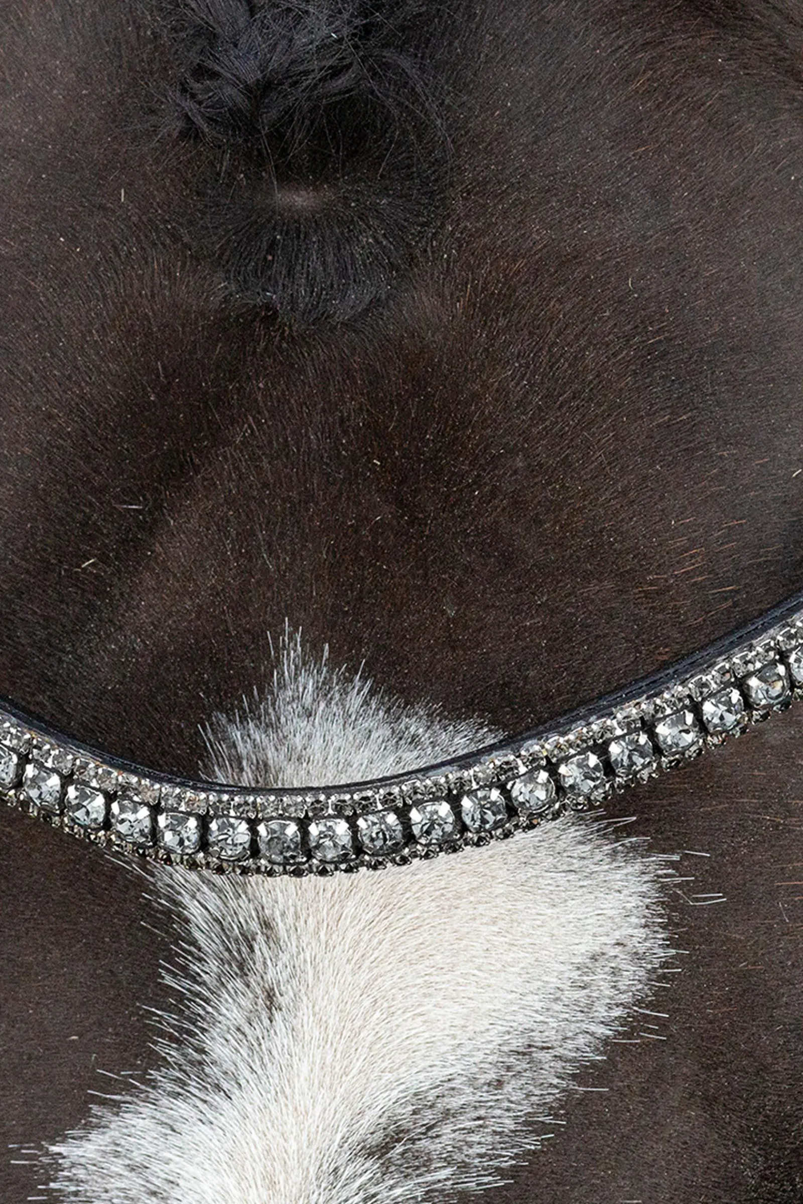 Clearance Schockemöhle Sports Brindisi Kandarhodelag Hodelag & Nesereimer