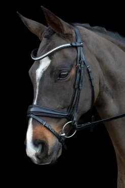 Best Schockemöhle Sports Charleston Hodelag Ponni Hodelag Og Grimer|Hodelag & Nesereimer