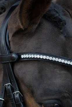 Best Schockemöhle Sports Charleston Hodelag Ponni Hodelag Og Grimer|Hodelag & Nesereimer