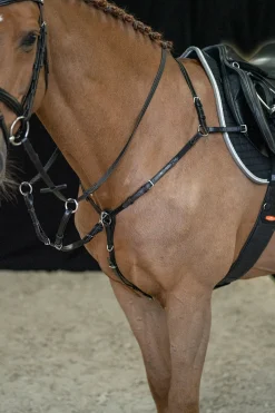 Schockemöhle Sports Como Fortøy Fortøy