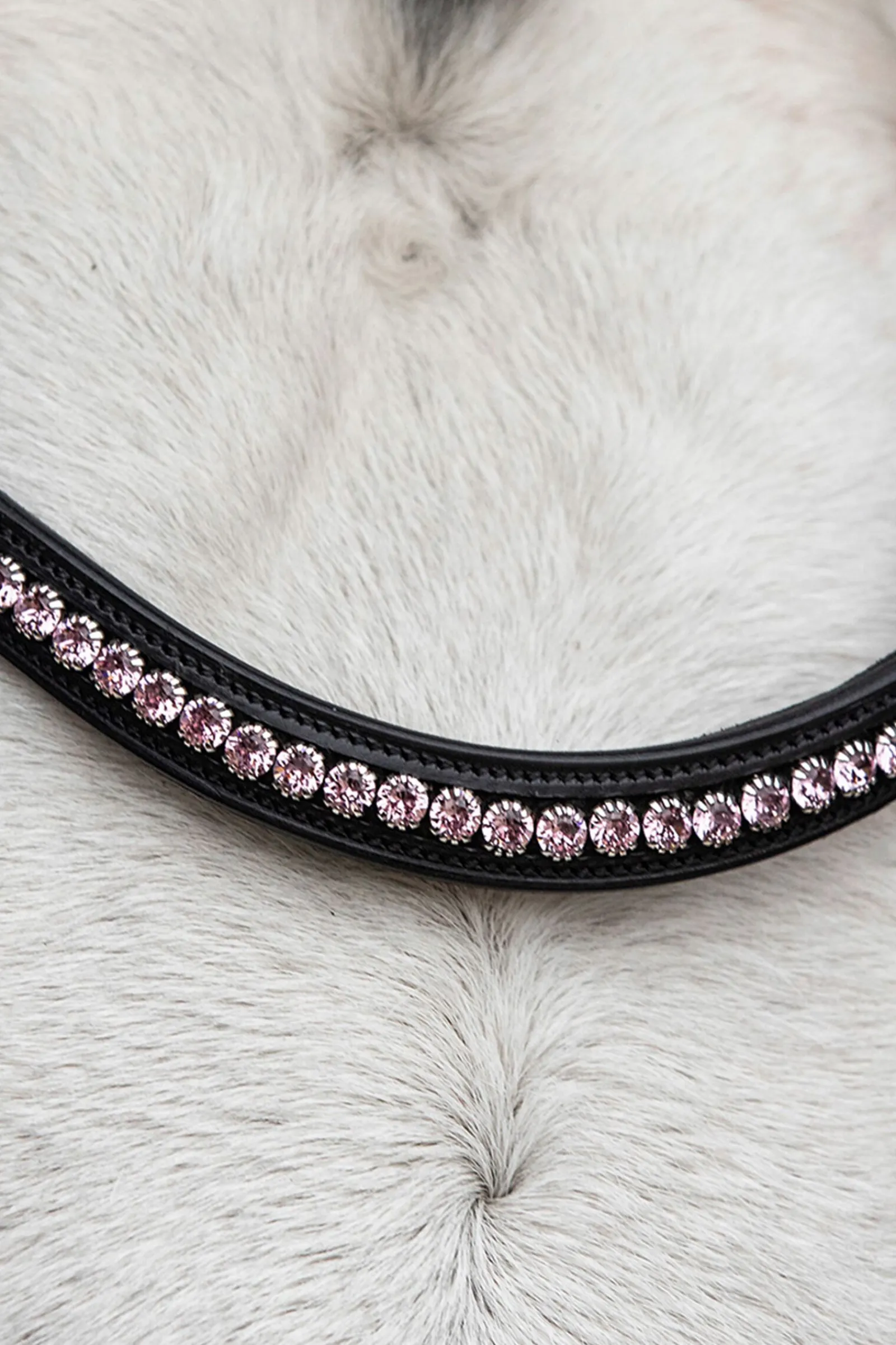 Best Schockemöhle Sports Diamond Select pannebånd Pannereim