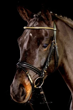 Schockemöhle Sports Heidelberg hodelag Ponni Hodelag Og Grimer|Hodelag & Nesereimer