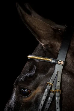 Schockemöhle Sports Heidelberg hodelag Ponni Hodelag Og Grimer|Hodelag & Nesereimer