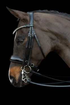 Discount Schockemöhle Sports Milazzo Kandar Hodelag & Nesereimer