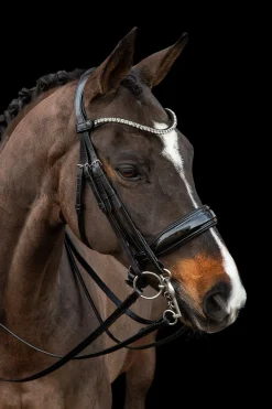 Discount Schockemöhle Sports Milazzo Kandar Hodelag & Nesereimer